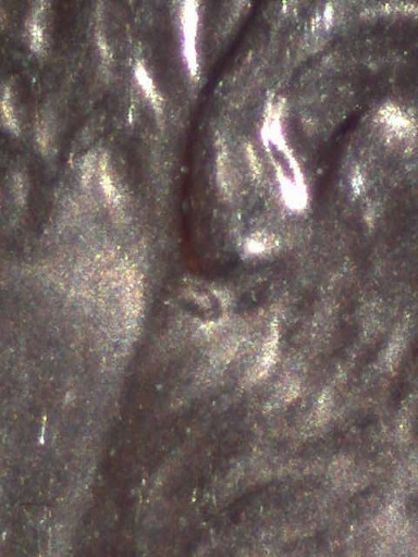 2006-D-Lincoln-Cent-Die-Chip