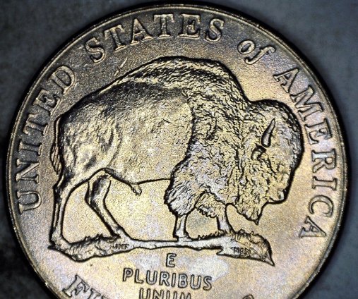 2005-D-Bison-Jefferson-Nickel