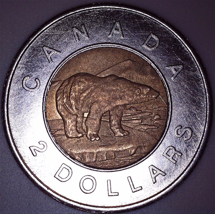 Canadian-2$-2006--Bear-Imprint-On-Portrait-Side