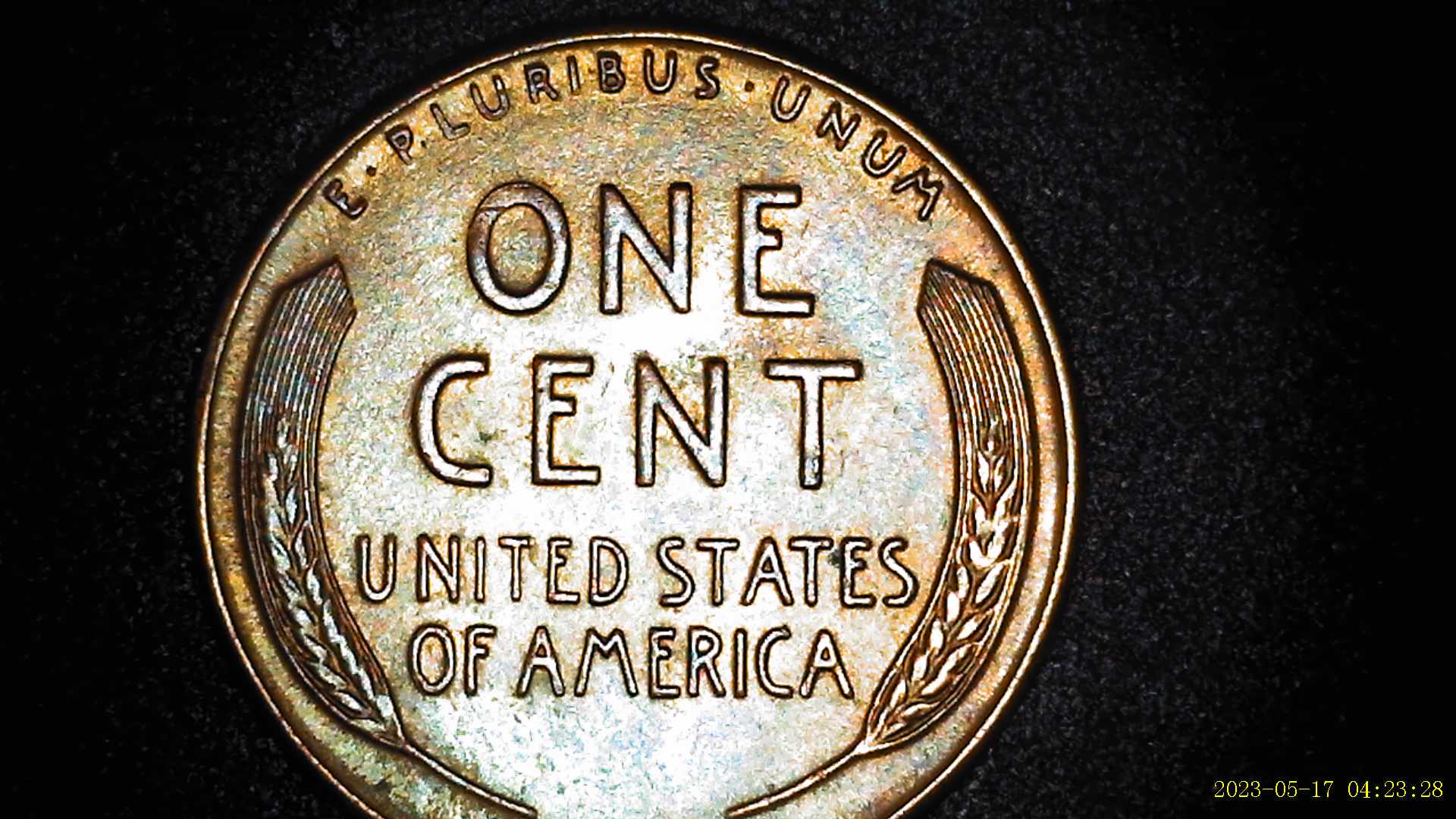 1958-Penny-Showing-Gouge-Thur-Ear-On-Front