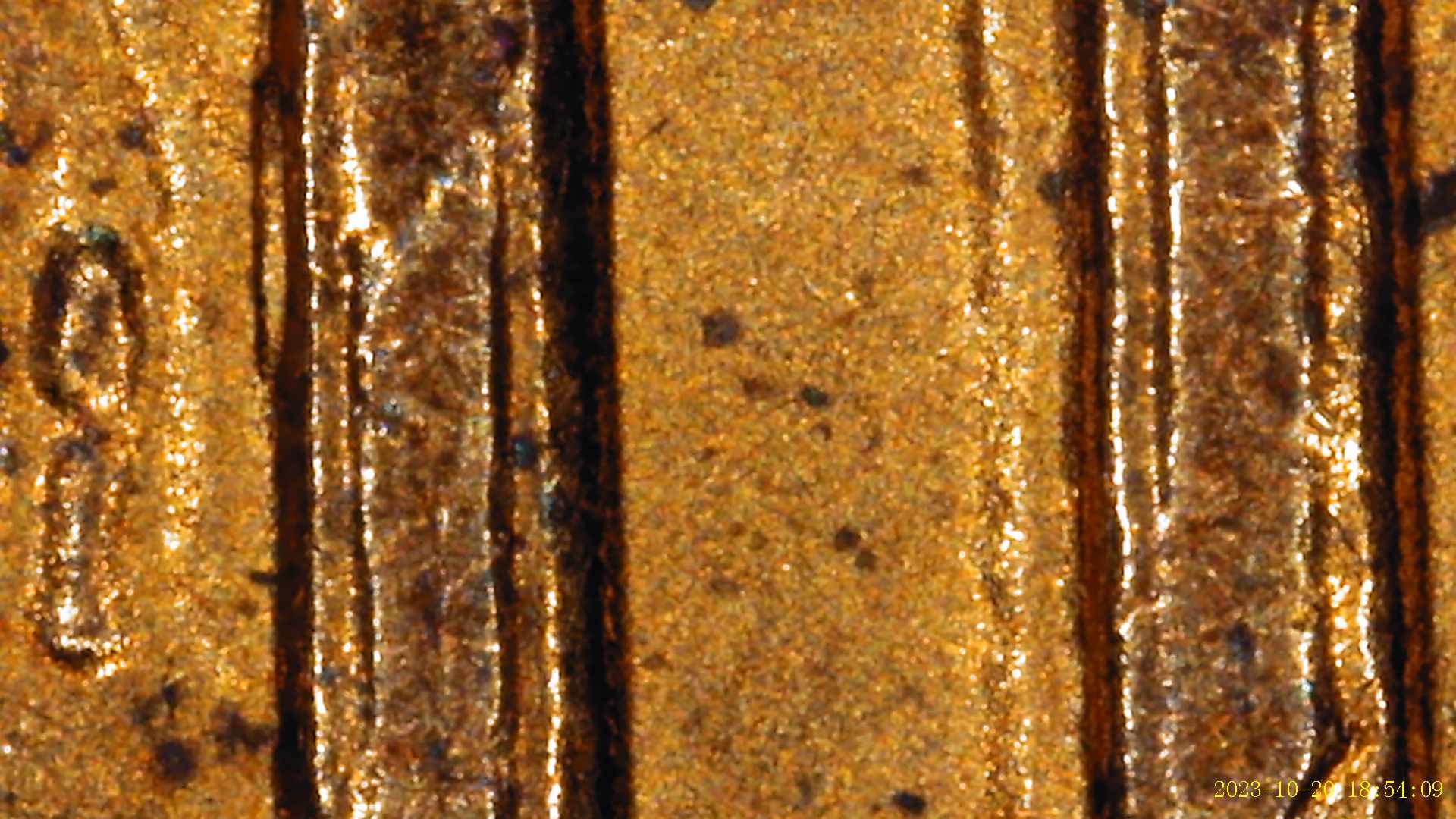 2001-Penny-With-Possible-Links-To-A-DDR