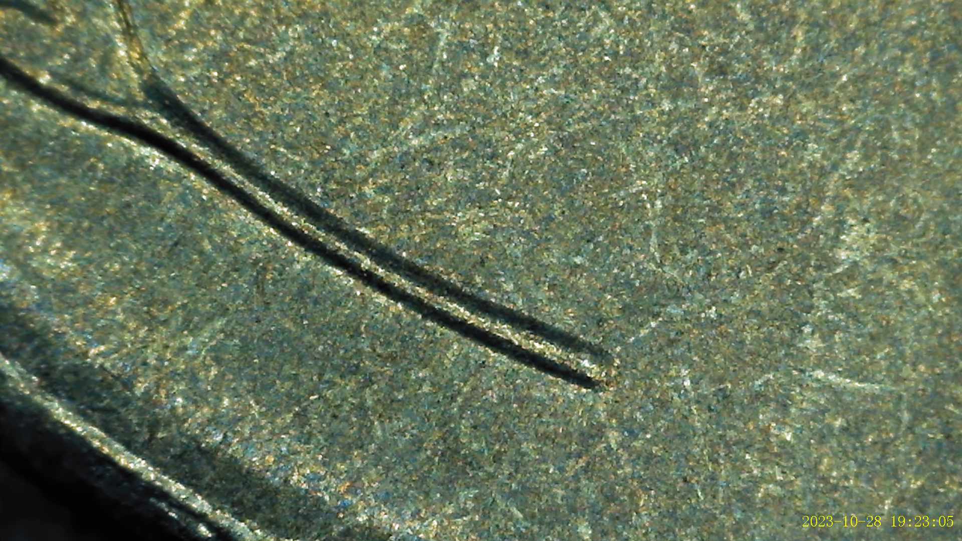 1943-P-Lincoln-Wheat-Penny-Possible-DDO