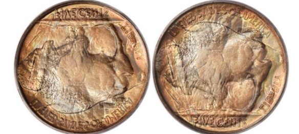 1913-Type-1-Buffalo-You-Vs-PCGS