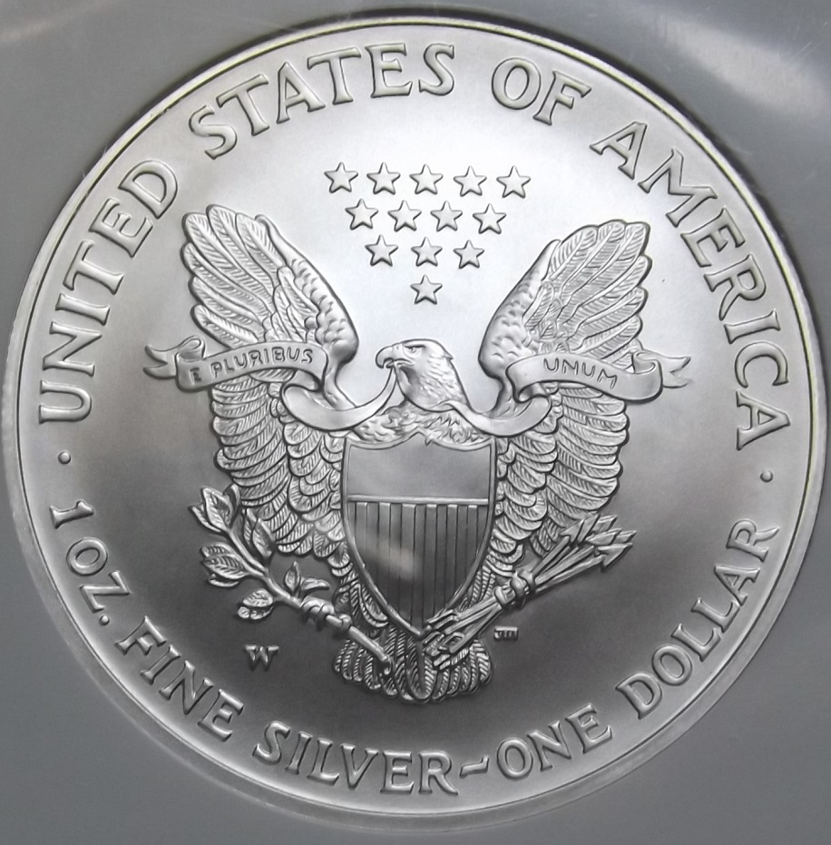 2008-W-REV-Of-07-Burnished-Silver-Eagle