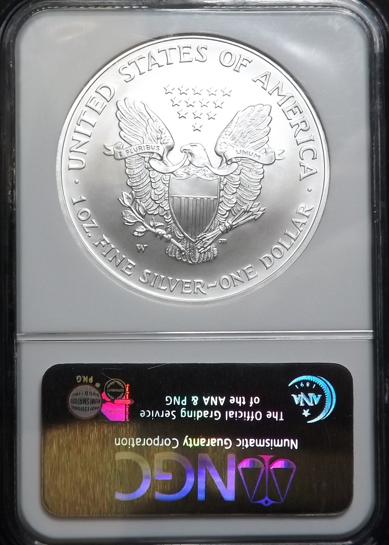 2008-W-REV-Of-07-Burnished-Silver-Eagle