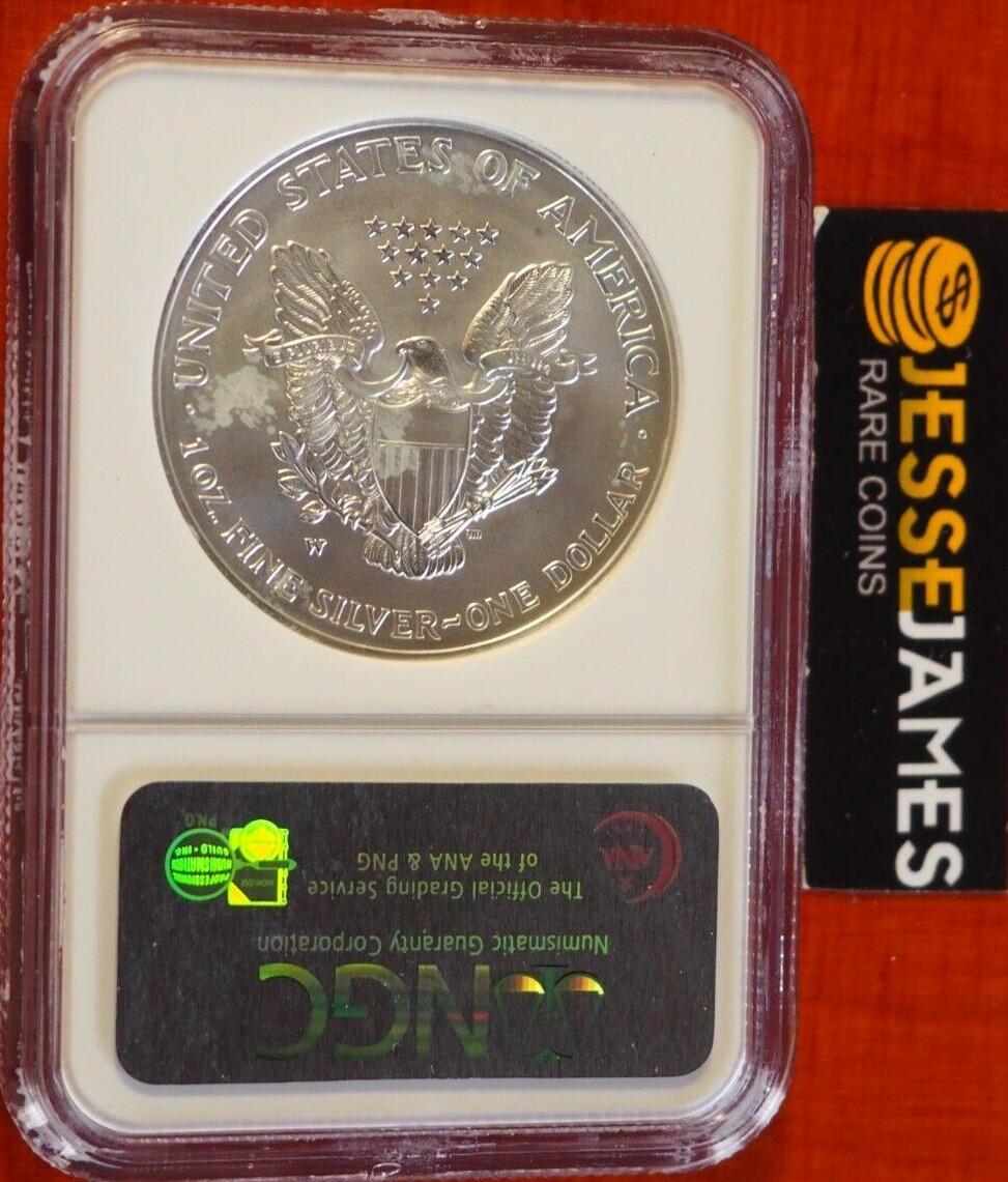 2008-W-REV-Of-07-Burnished-Silver-Eagle
