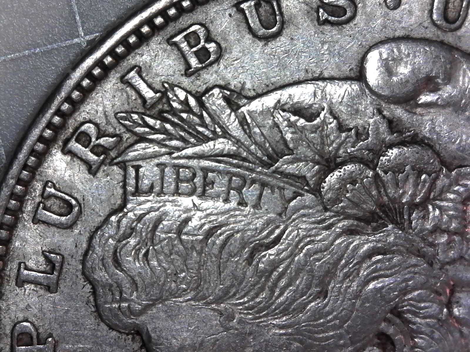 1921-D-Morgan-Dollar-For-Your-Grading-Opinions