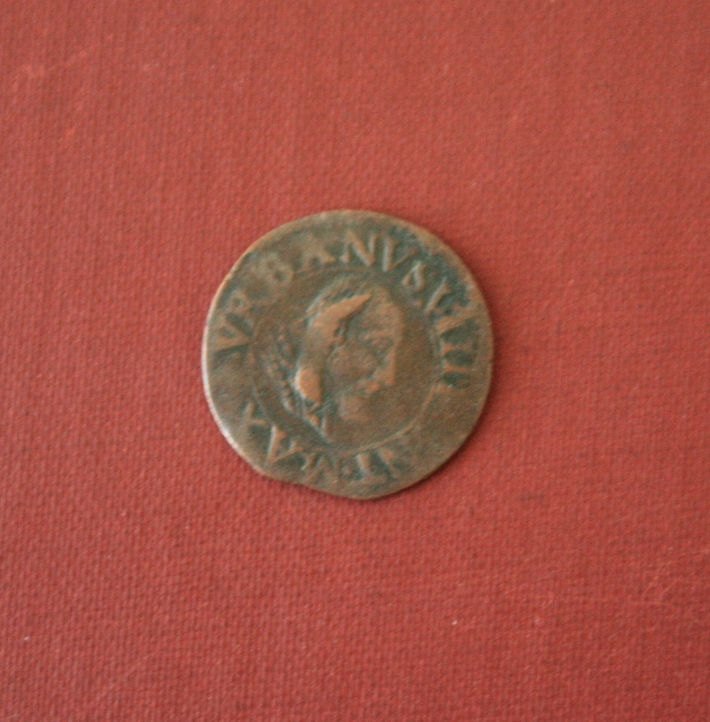 Need-Help-Identifying-These