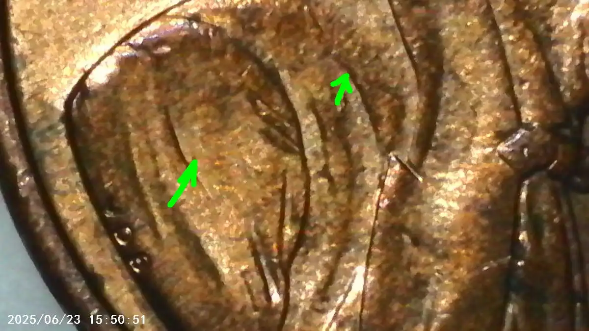 1999-D-Lincoln-Memorial-Center-With-Possible-Cross-Denomination-