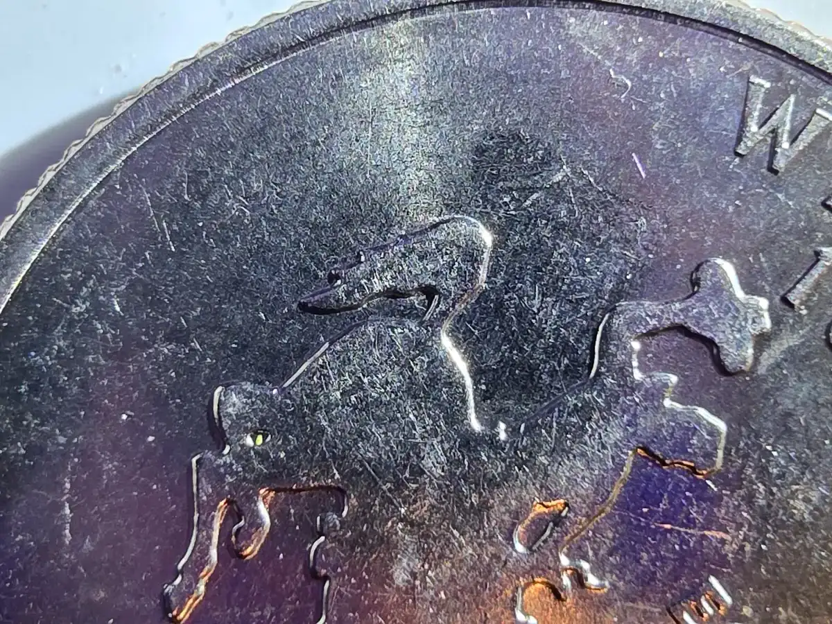 2007-P-Wyoming-Quarter-Error