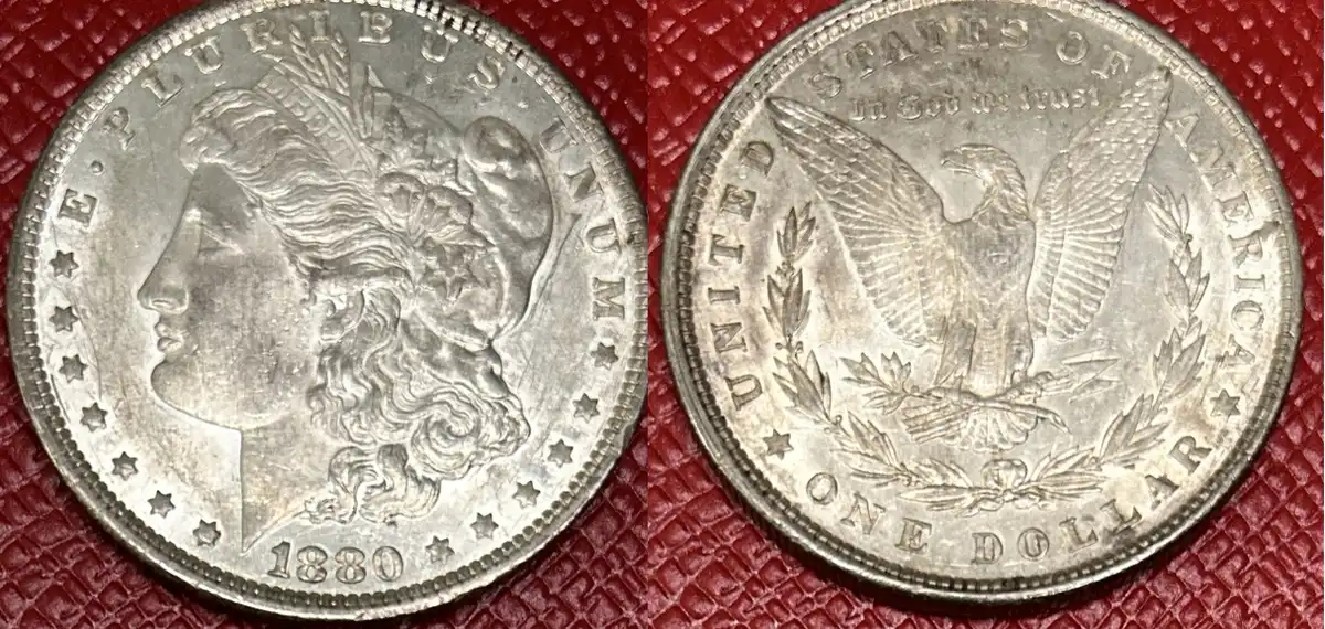 New-Littleton-Coin-Morgan-Dollars-For-Your-Viewing-Pleasure-And-Evaluation-: