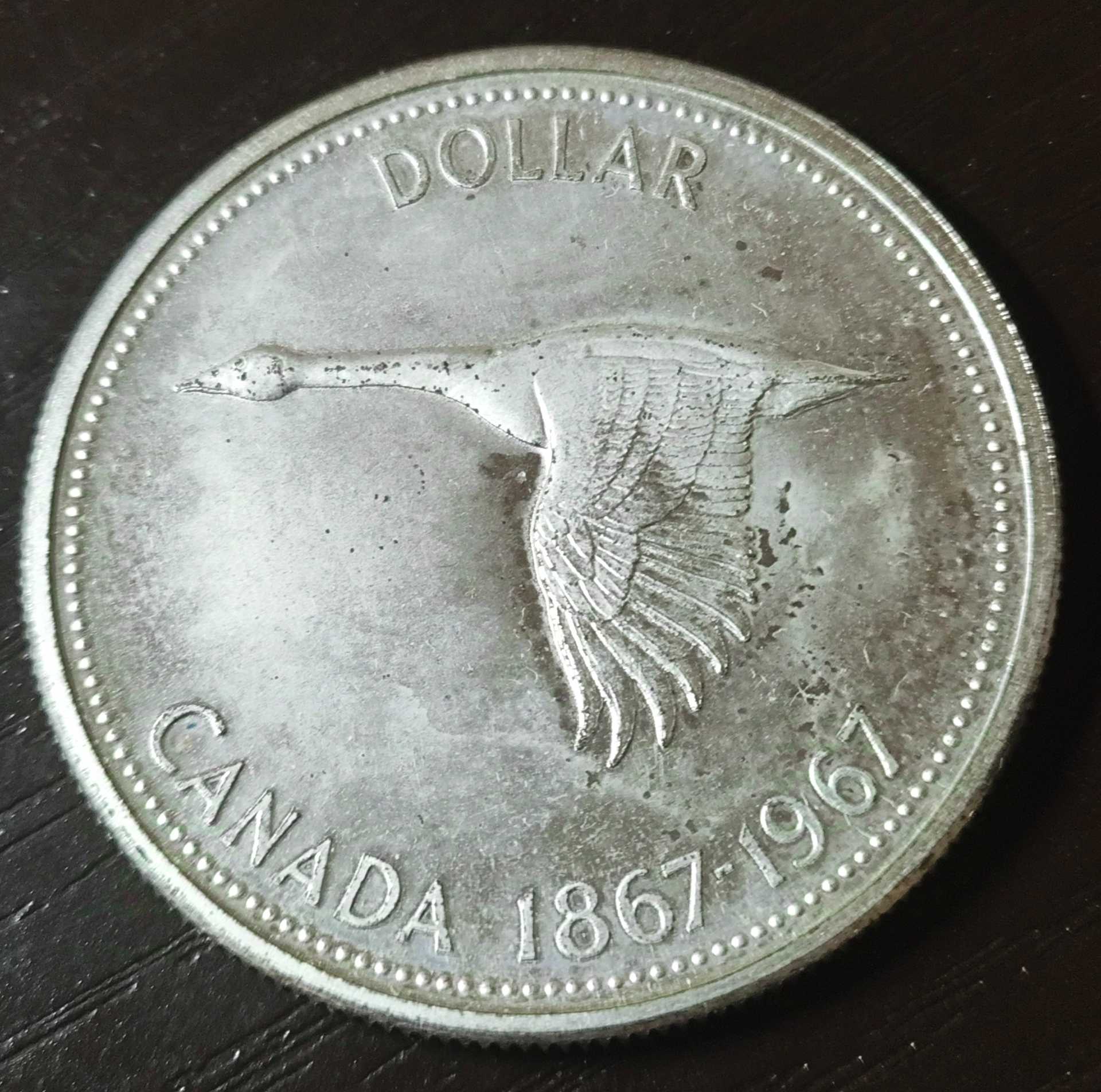 Need-Help-With-A-1967-Specimen-Dollar-That-Covers-By-Milk-Spot