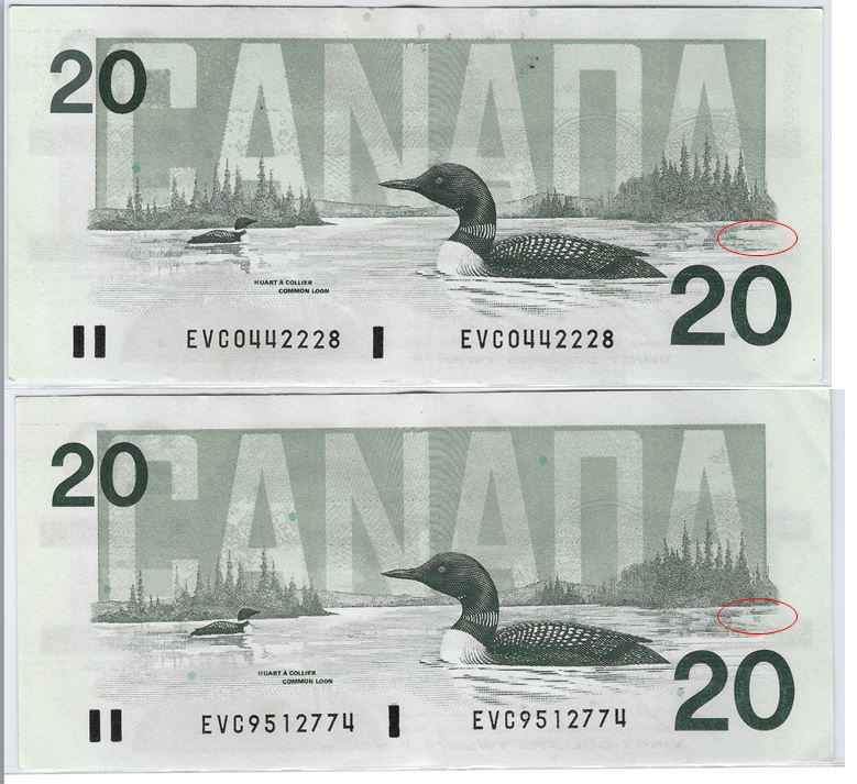 $20-Bird-Series-Bpn-And-No-Bpn
