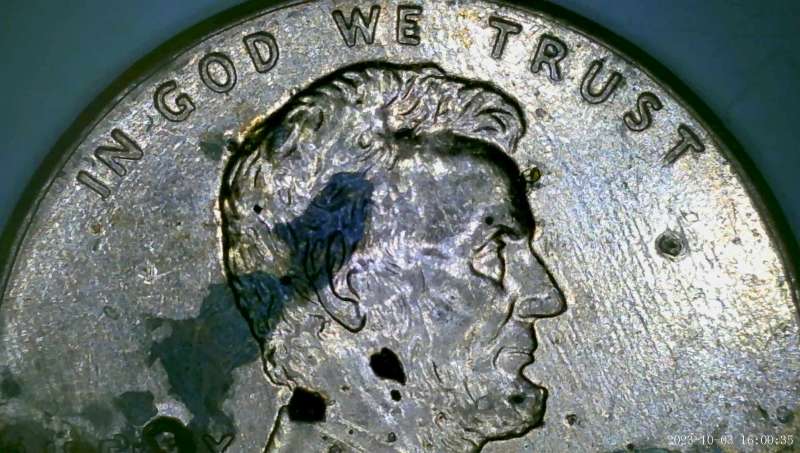2009-Lincoln-Cent-Professional-Life
