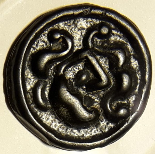 My-First-Animal-On-A-Coin.