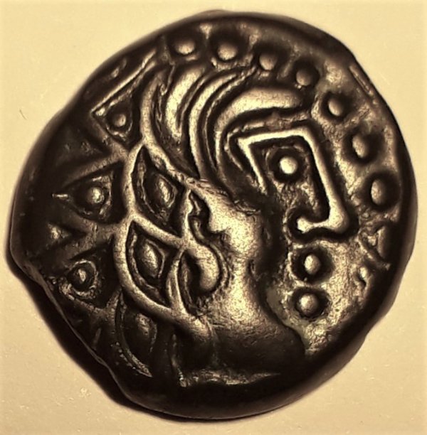 My-First-Animal-On-A-Coin.