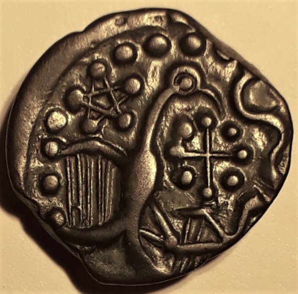 My-First-Animal-On-A-Coin.