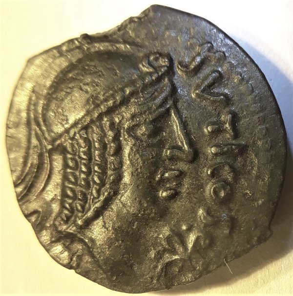 My-First-Animal-On-A-Coin.