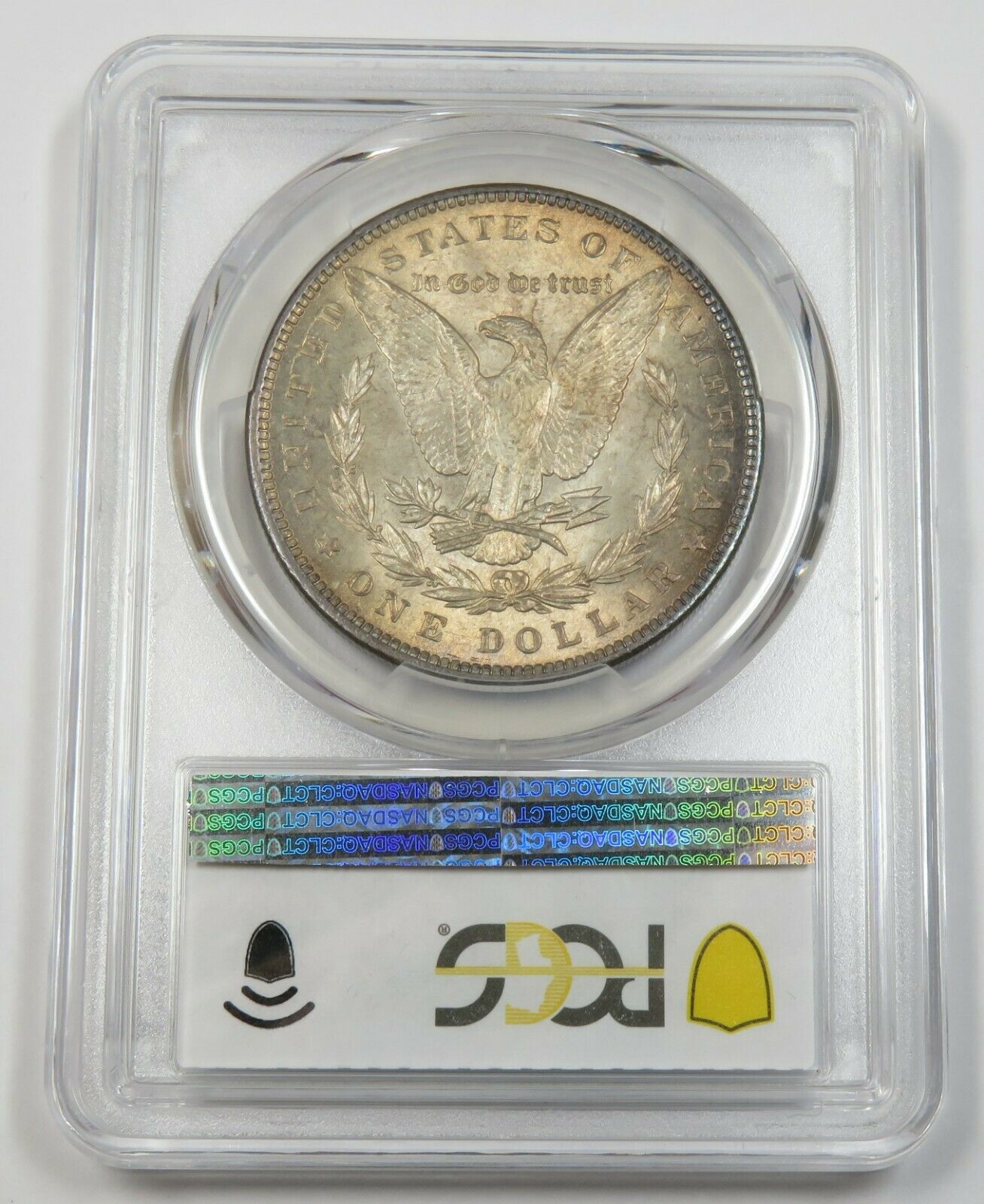 What-Do-You-Think-Of-The-Toning-On-This-1891-Morgan?
