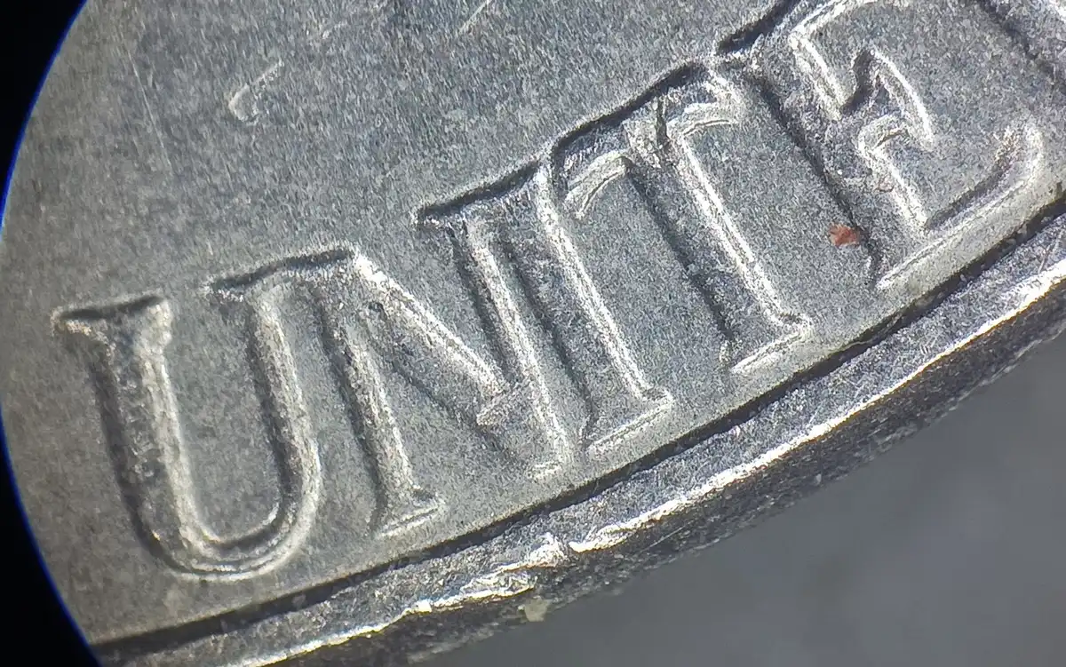2022-P-Nickle-WDDR009