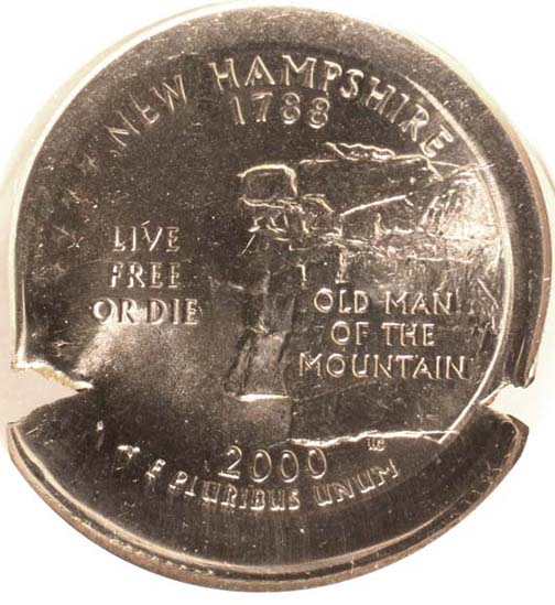 Flip-Over,-Double-Struck,-Mushroom-Errors----Mushrooms-With-Your-Pizza?
