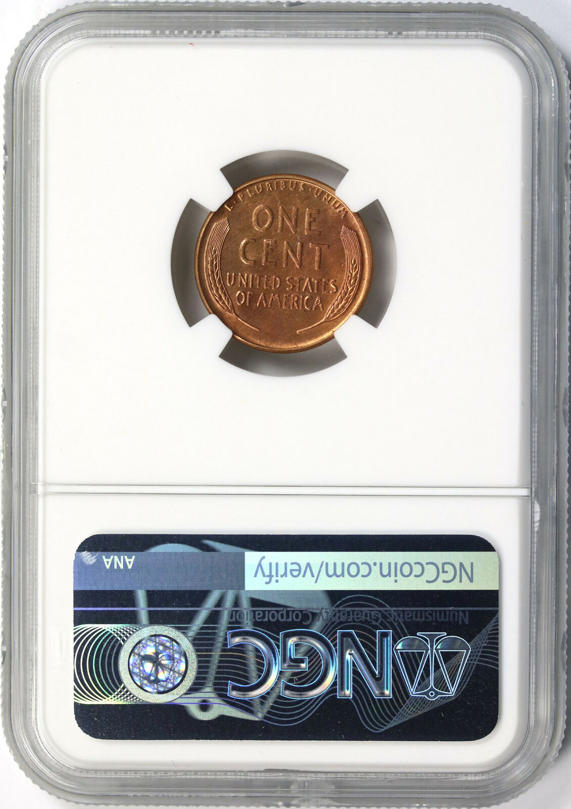 All-Members,-Post-Your-Most-Recent-US-Coin-Purchases!