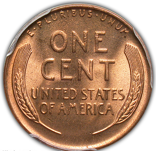 All-Members,-Post-Your-Most-Recent-US-Coin-Purchases!
