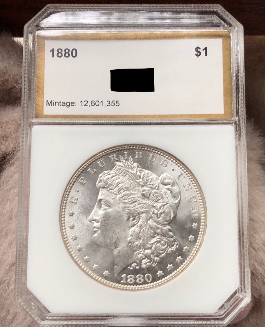 1880-P-Morgan-$1-For-Grading/Opinions