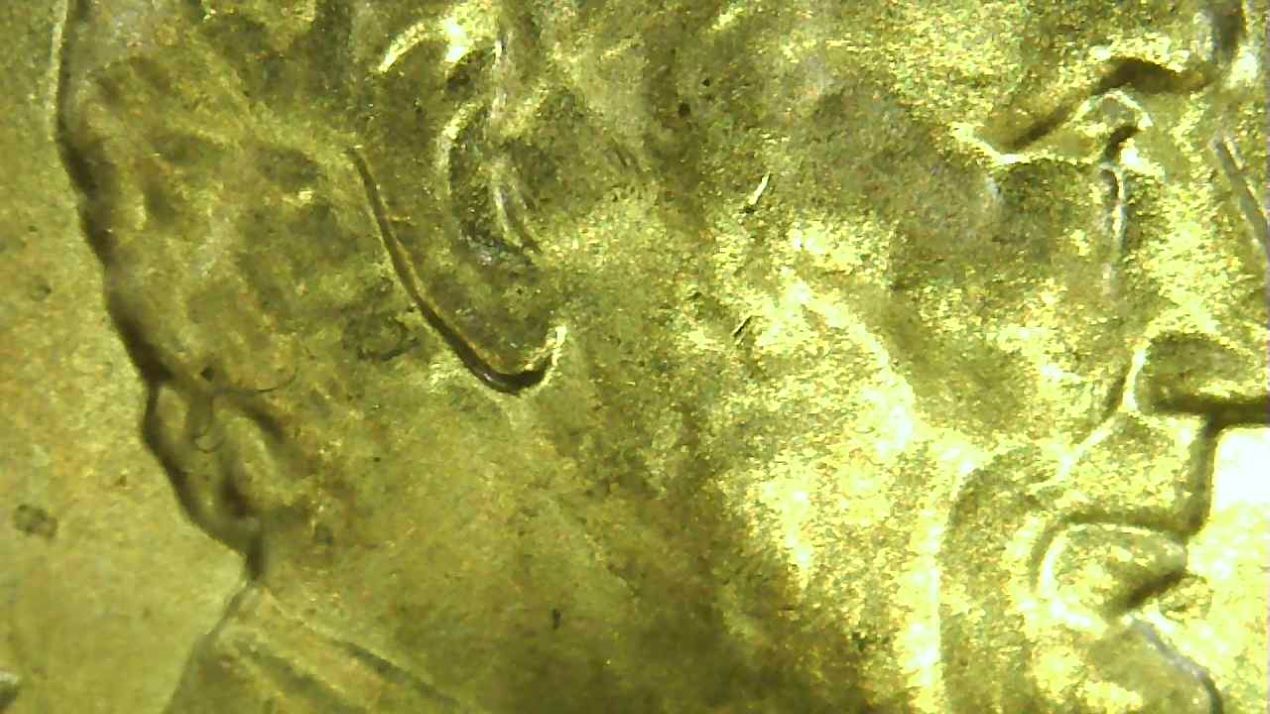 2019-D-LSC-Double-Ear?-Need-Help-Please