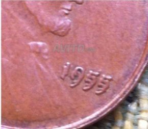Are-These-Coins-Real-Or-Fake-?
