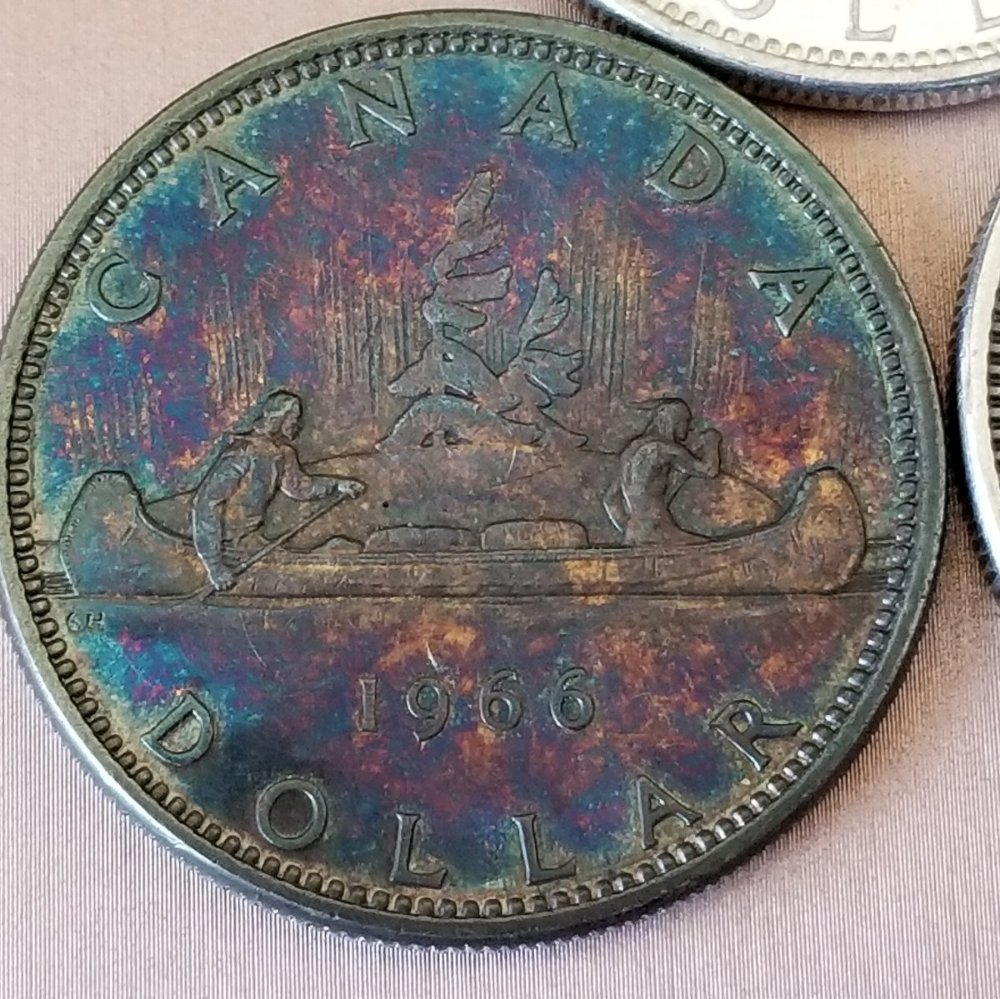 Toned,-Wore-And-Bright-Silver-Dollars