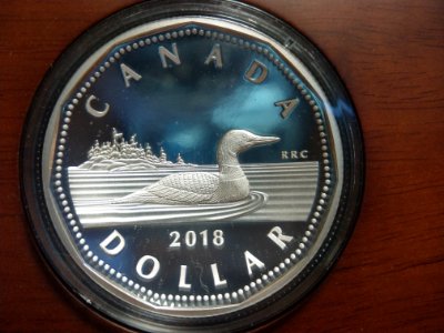 Double-Concave-Silver-Loonie-10oz