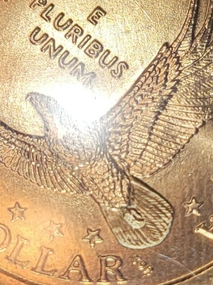 Is-This-A-True-Sacagawea-Cheerios?