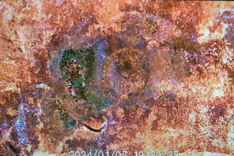 2021-D-Lincoln-Cent-W/-U/K-Imprinting-OBV-&-Rev