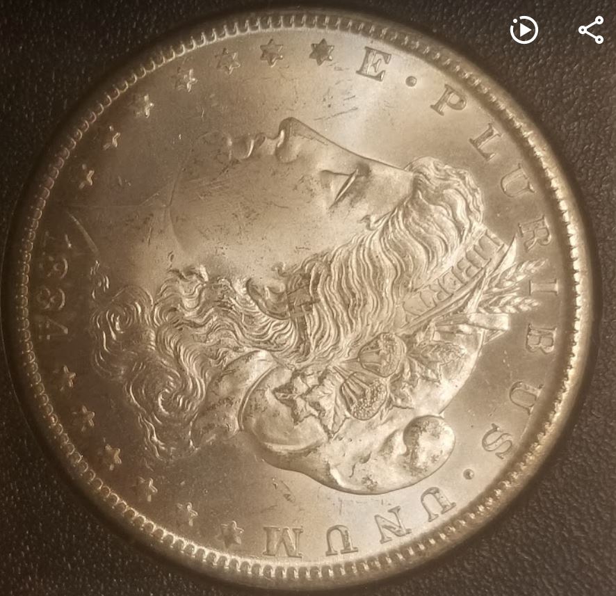 1884-CC-Morgan-Dollar-For-Grading,-Lovely-Crescent-Toning