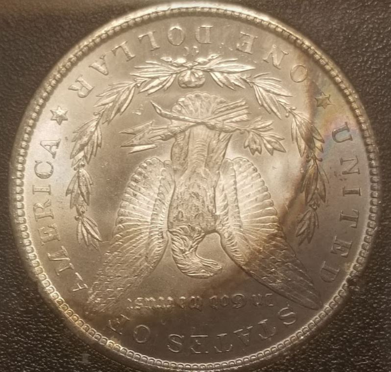 1884-CC-Morgan-Dollar-For-Grading,-Lovely-Crescent-Toning