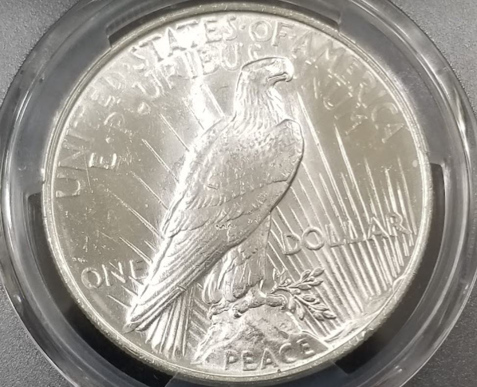1924-Peace-Dollar-For-Grading.