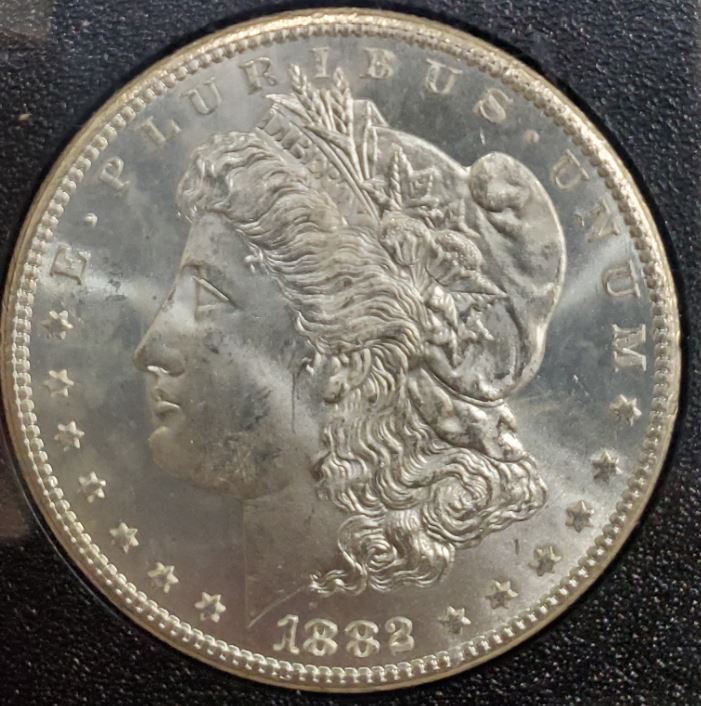 1882-CC-Morgan-GSA-Holder-For-Grading