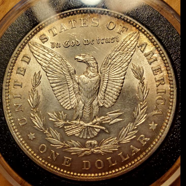 1882-Morgan-For-Grading