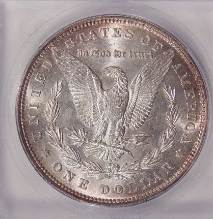 1892-Morgan-For-Grading
