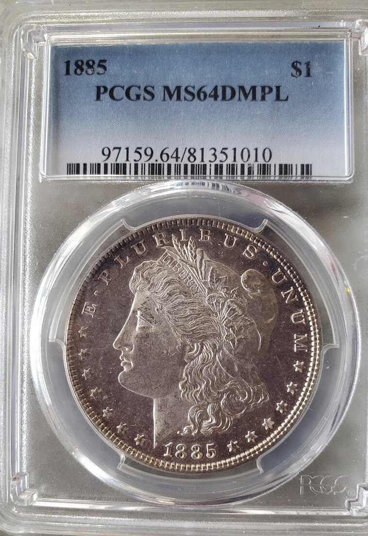 My-First-DMPL-Morgan