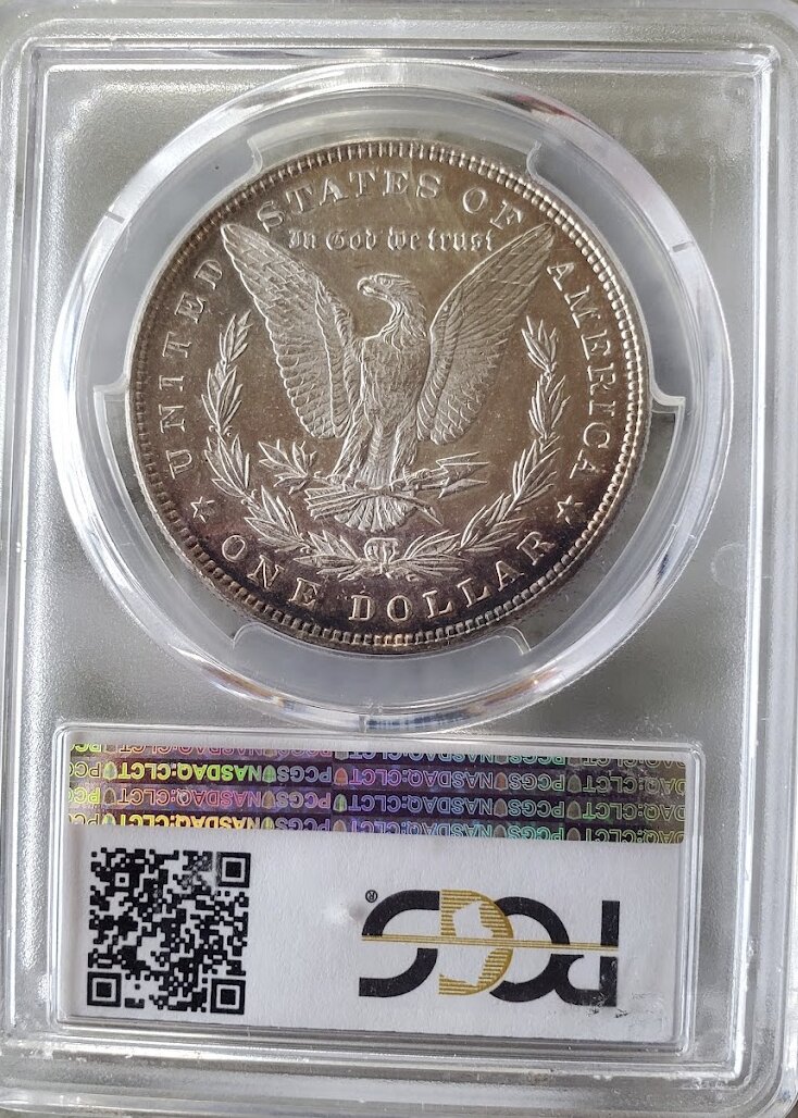 My-First-DMPL-Morgan