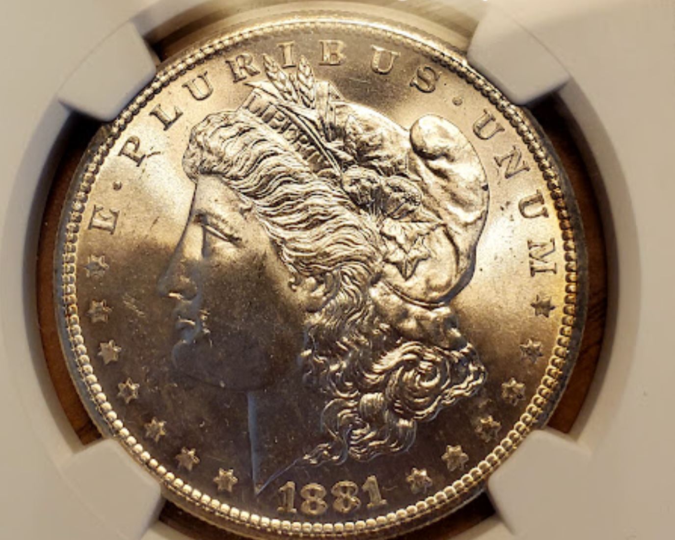 1881-S-Morgan-For-Grading