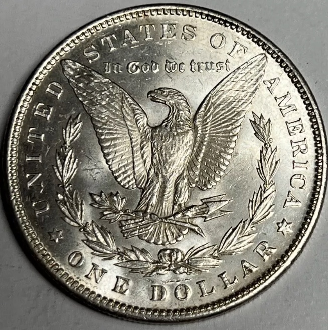 1891-Morgan-Dollar-For-Grading