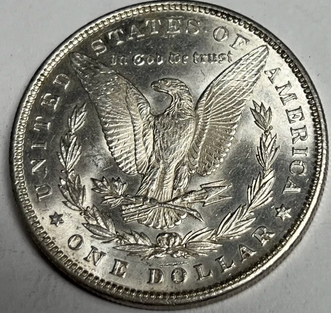 1891-Morgan-Dollar-For-Grading