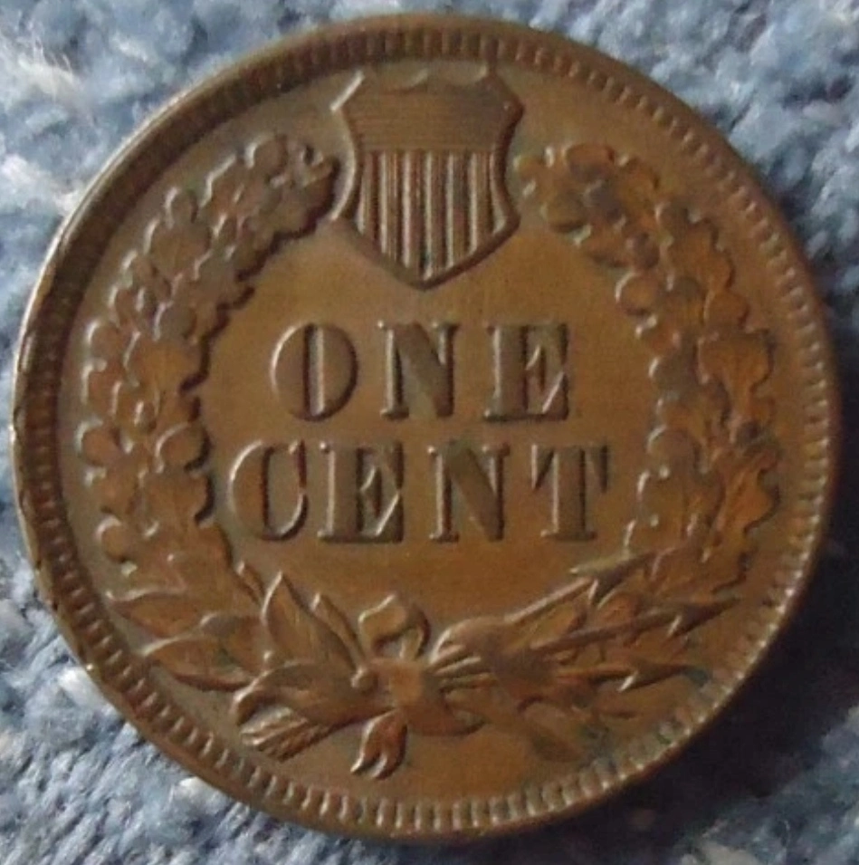 1895-Indian-Head-Cent