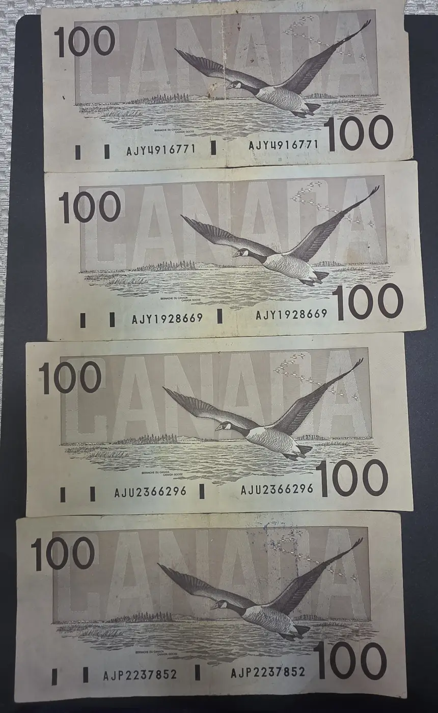 Trying-To-Find-The-Worth-Of-$100-1988-2004