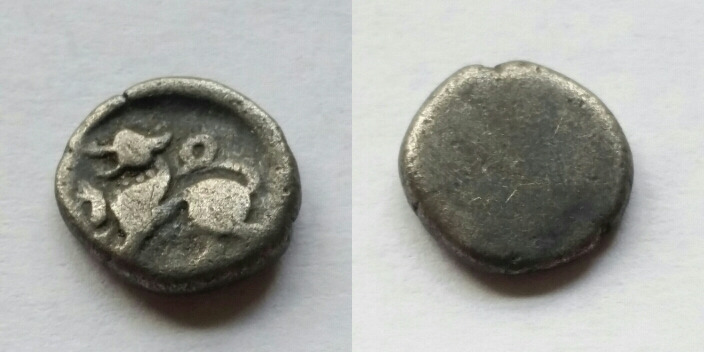 Post-Your-Lion-Coins!
