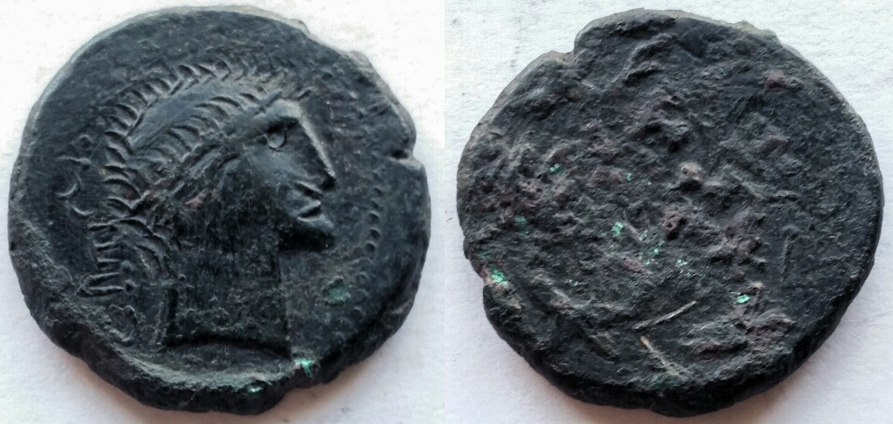 Barborous-Ancient-Romans