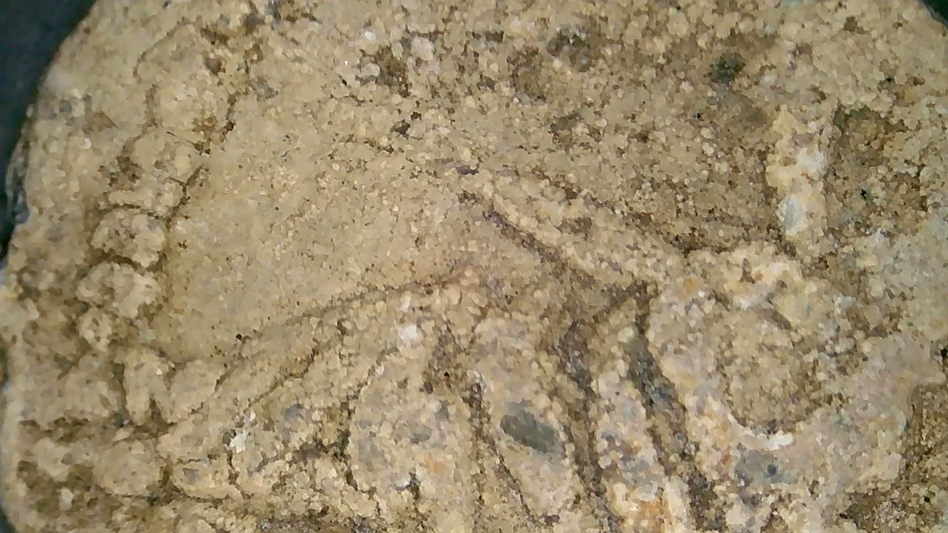 Roman-Lead-Brothel-Token,